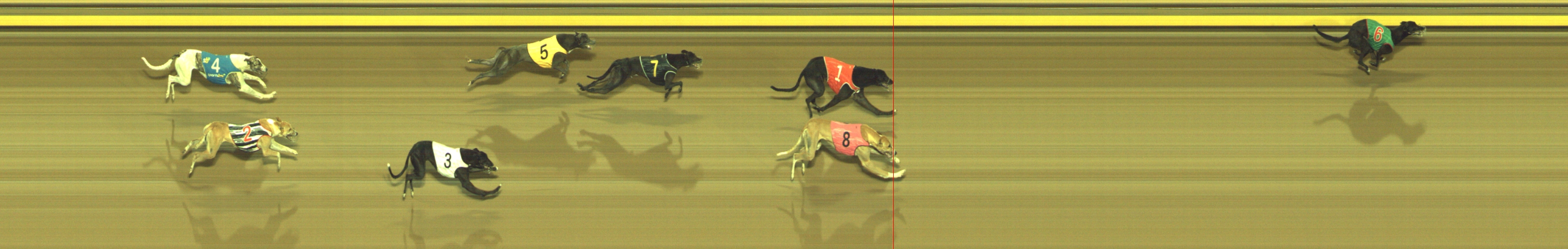 Photo finish for Geelong Race 12
