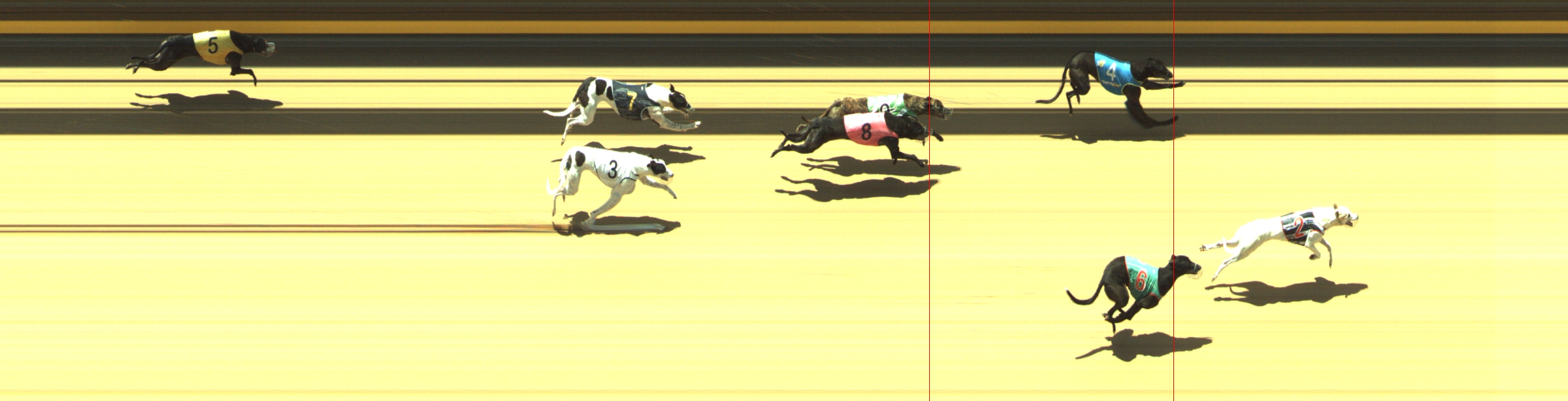 Photo finish for Geelong Race 1