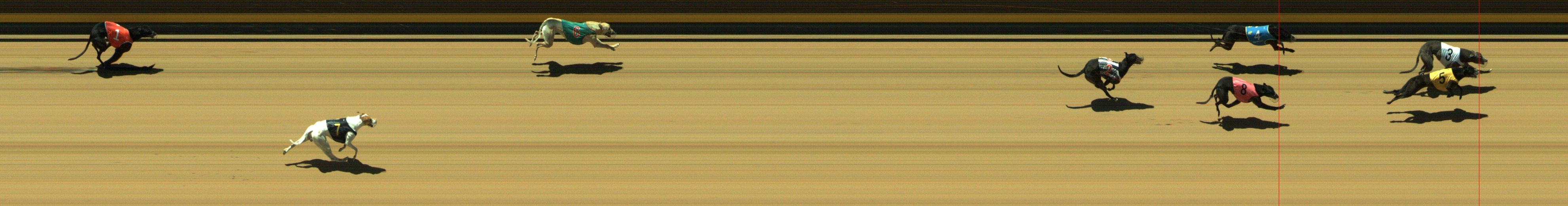 Photo finish for Geelong Race 2