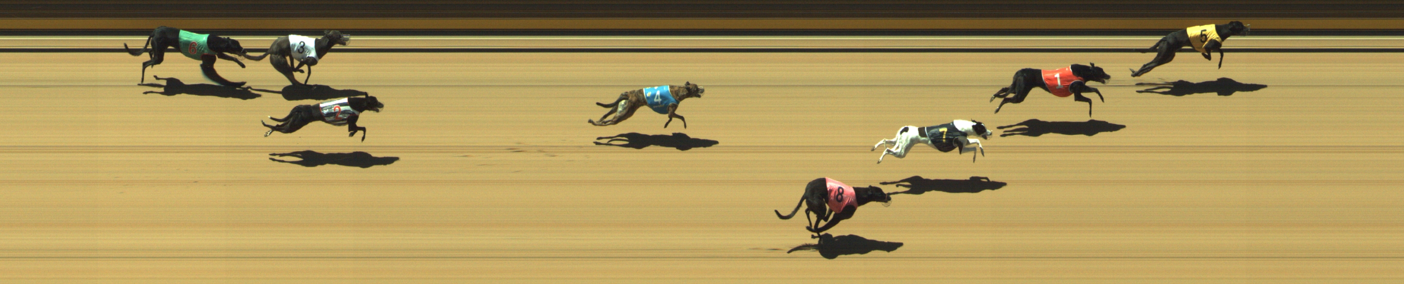 Photo finish for Geelong Race 3