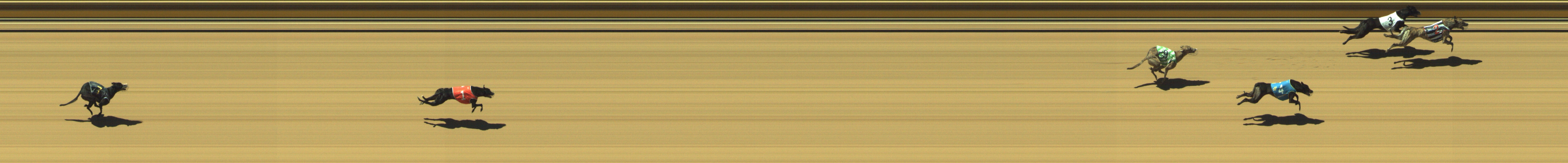 Photo finish for Geelong Race 4