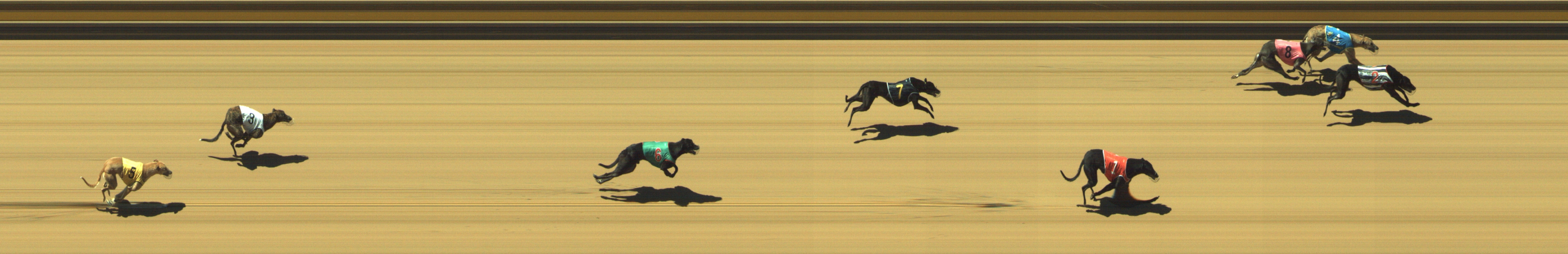 Photo finish for Geelong Race 5