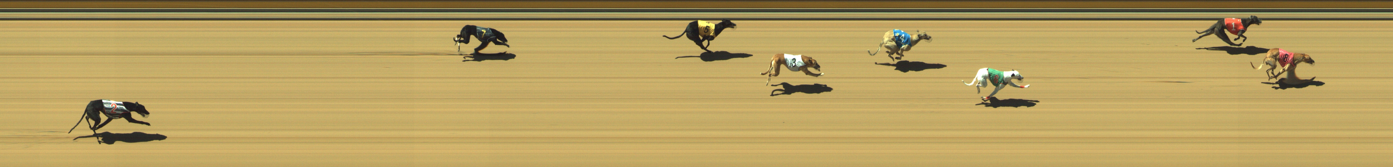 Photo finish for Geelong Race 6