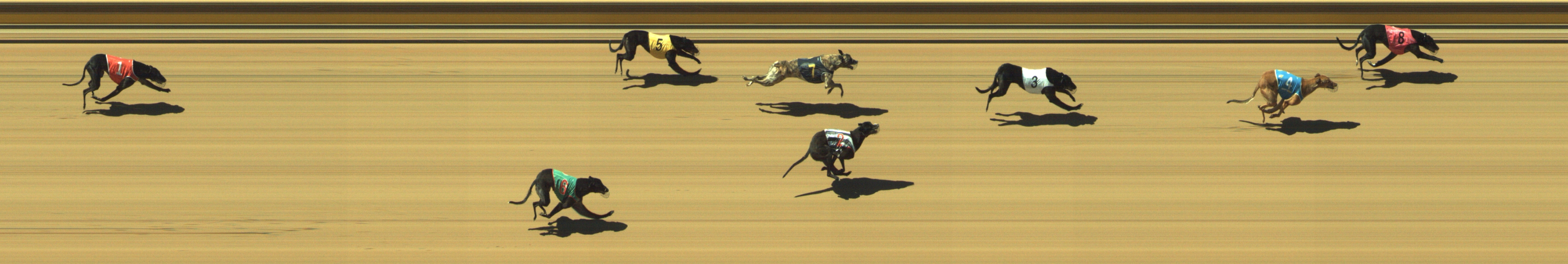 Photo finish for Geelong Race 7