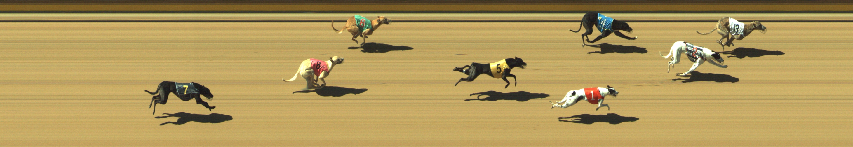 Photo finish for Geelong Race 8