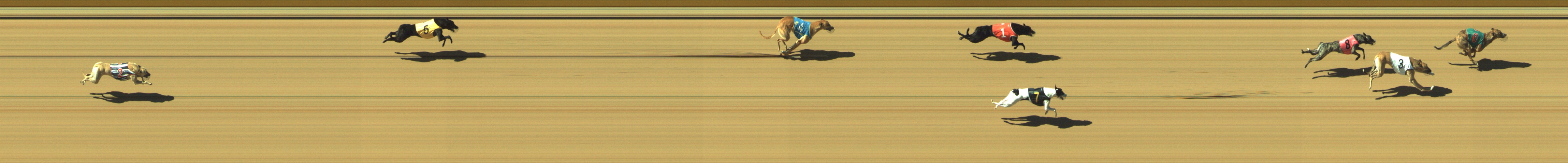 Photo finish for Geelong Race 9