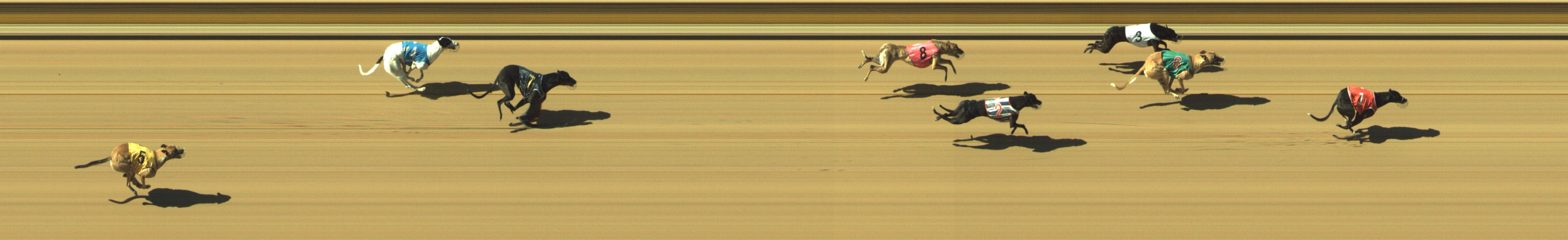 Photo finish for Geelong Race 10
