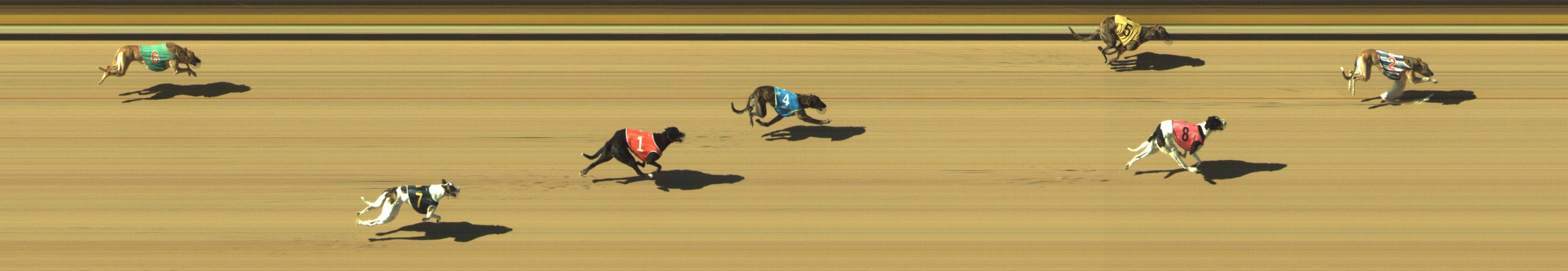 Photo finish for Geelong Race 11