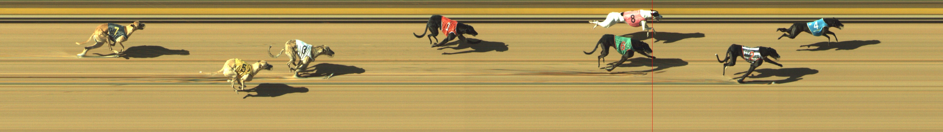 Photo finish for Geelong Race 12