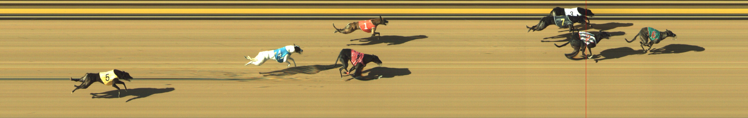 Photo finish for Geelong Race 13