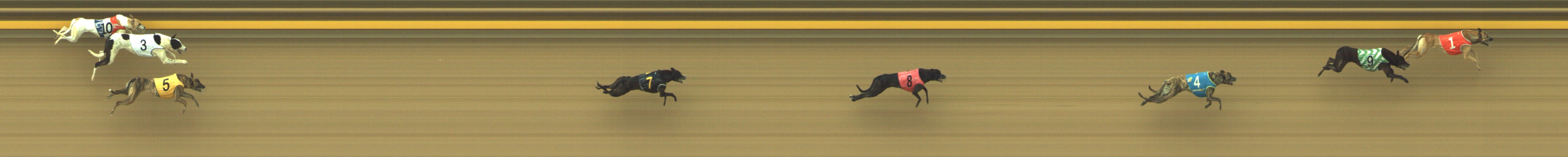 Photo finish for Geelong Race 1