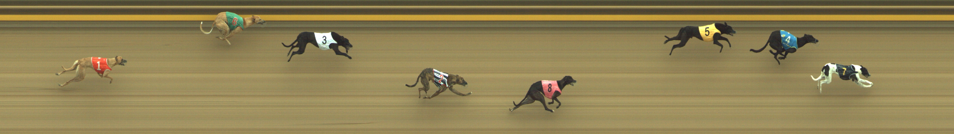 Photo finish for Geelong Race 2