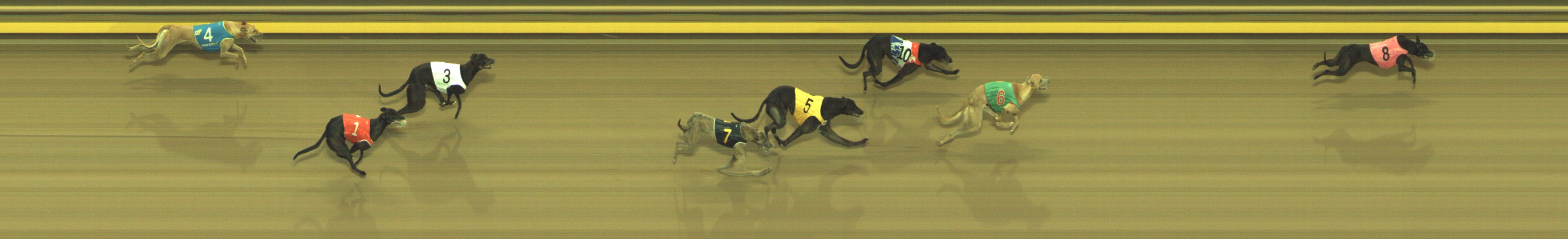 Photo finish for Geelong Race 3