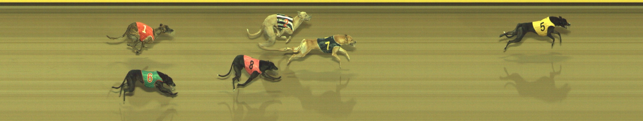 Photo finish for Geelong Race 4