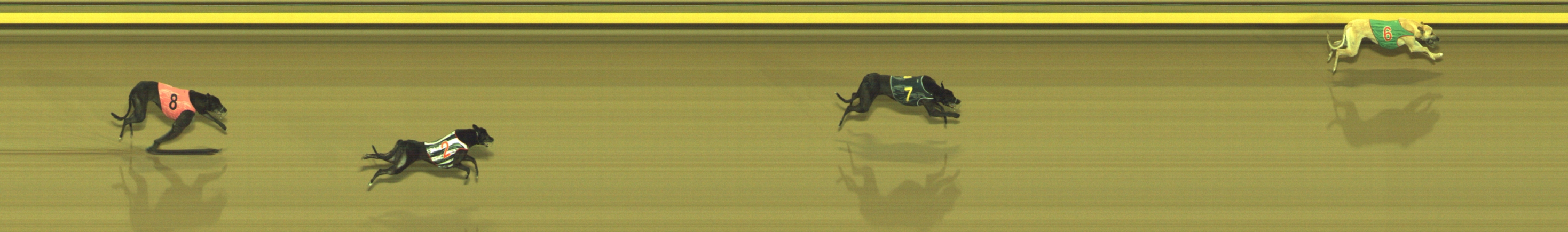 Photo finish for Geelong Race 5