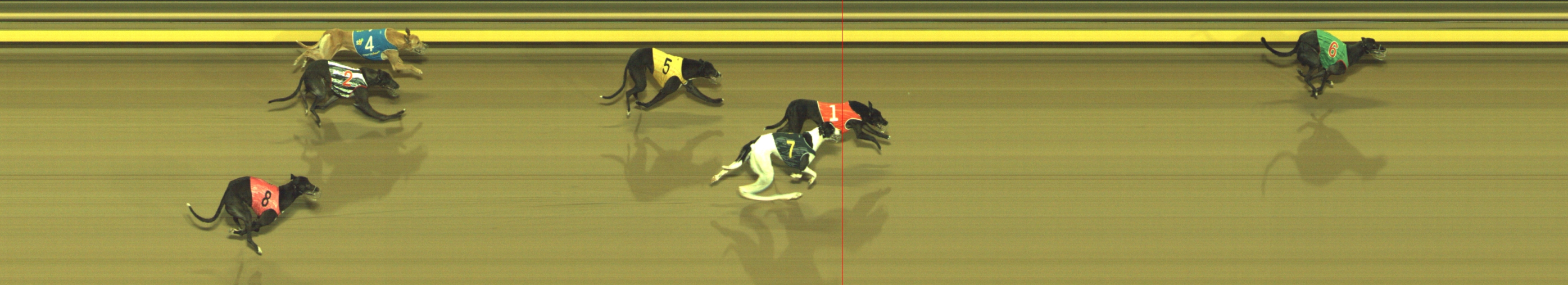 Photo finish for Geelong Race 6