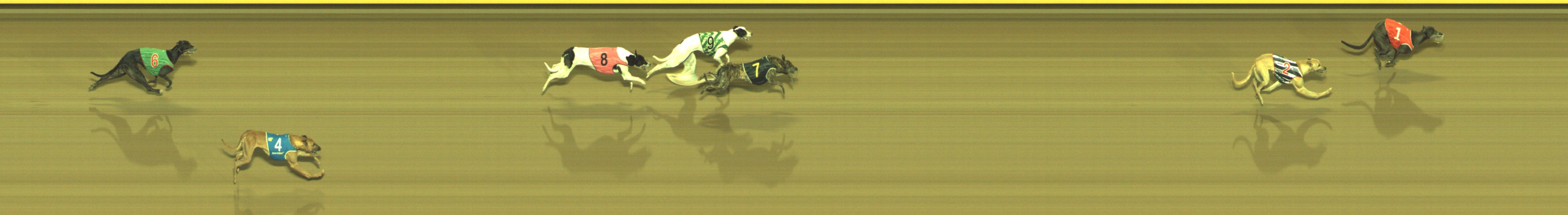 Photo finish for Geelong Race 7