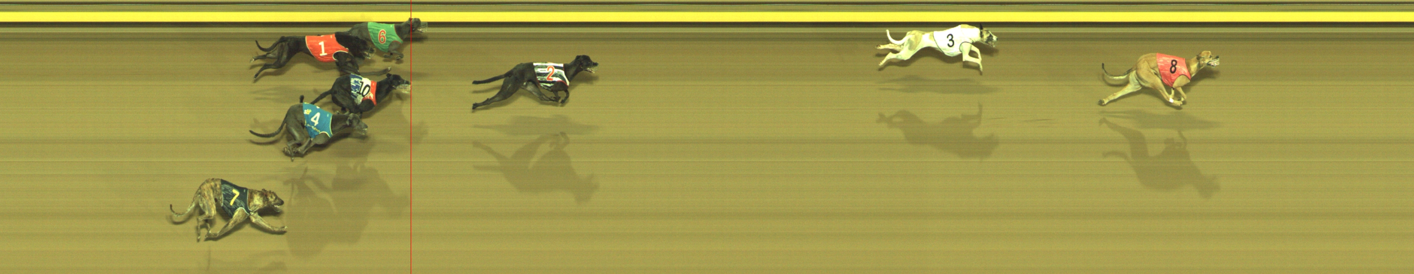 Photo finish for Geelong Race 8