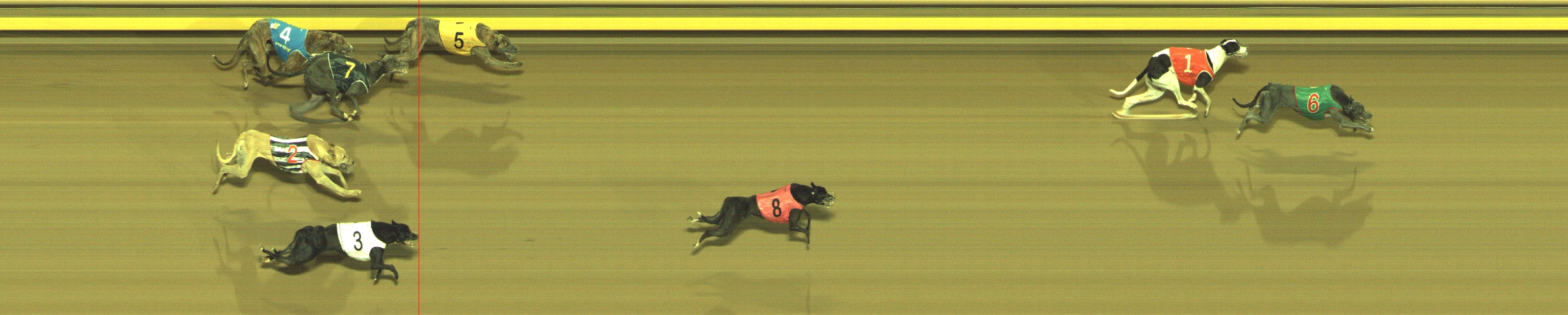 Photo finish for Geelong Race 9