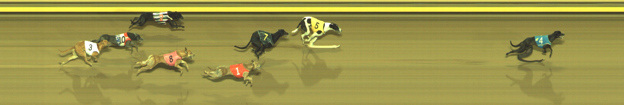Photo finish for Geelong Race 10
