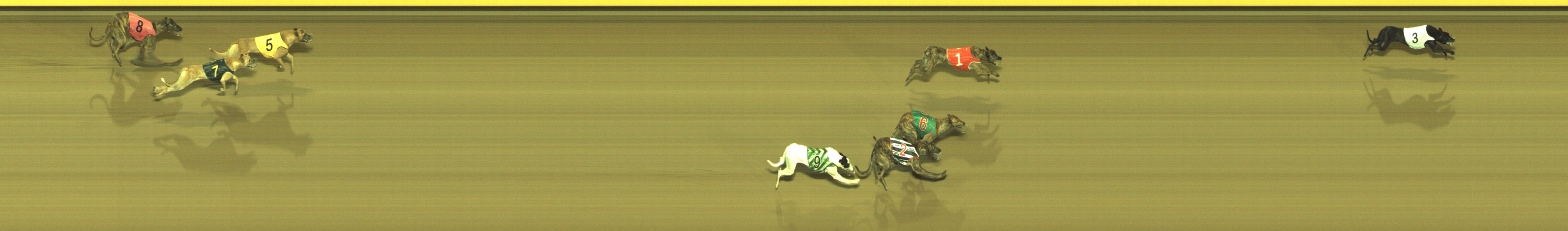 Photo finish for Geelong Race 11