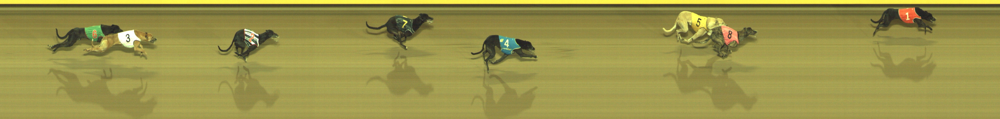 Photo finish for Geelong Race 12