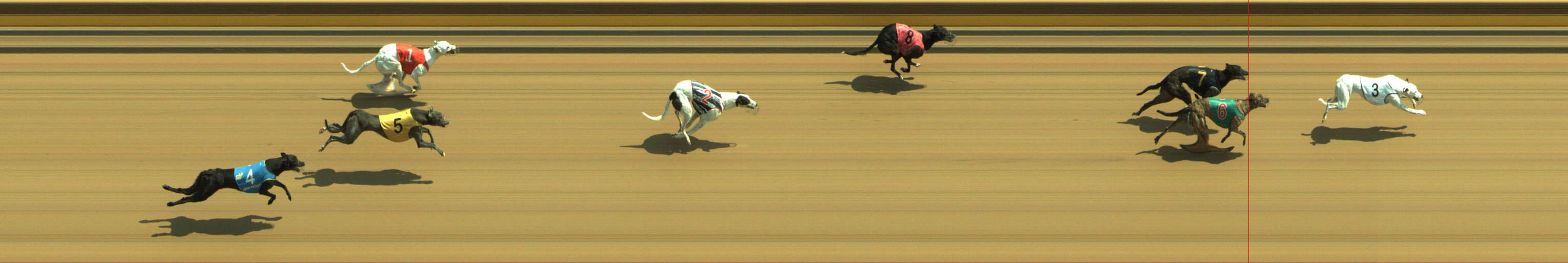 Race result finish photo