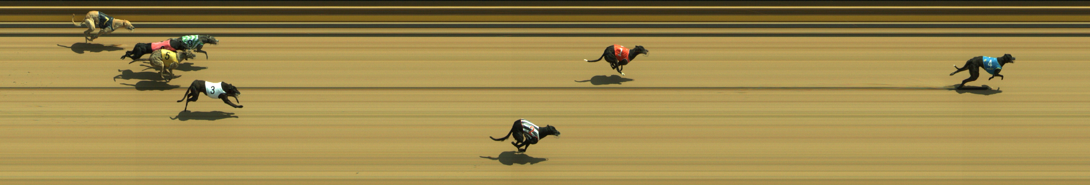 Photo finish for Geelong Race 2