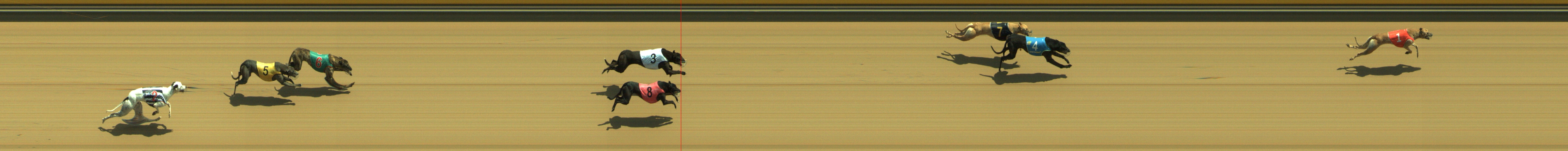 Photo finish for Geelong Race 3