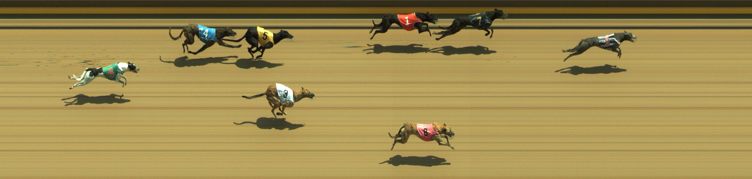 Photo finish for Geelong Race 4