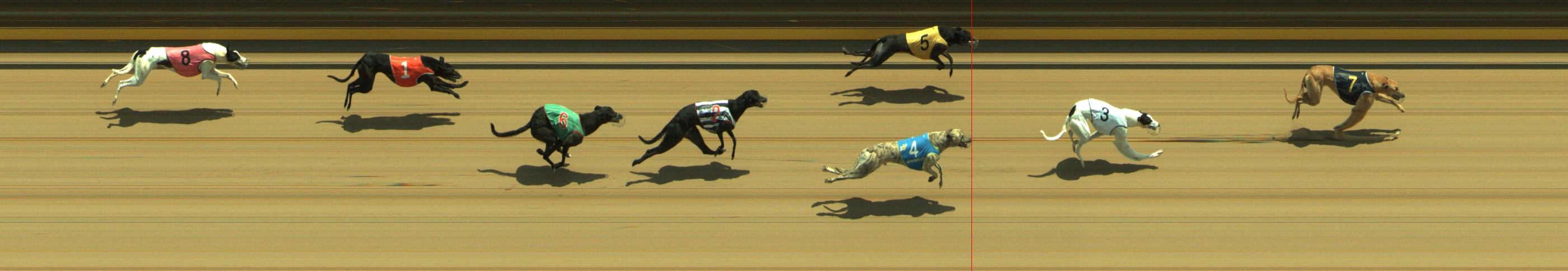 Photo finish for Geelong Race 5