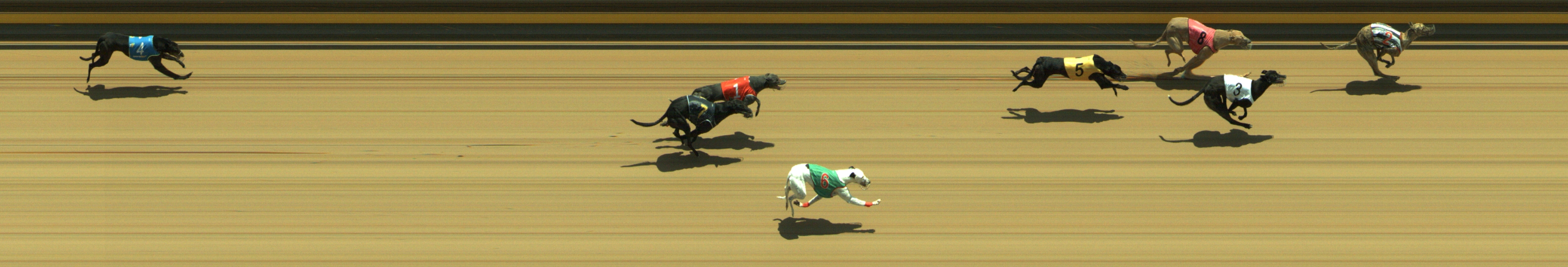 Photo finish for Geelong Race 6