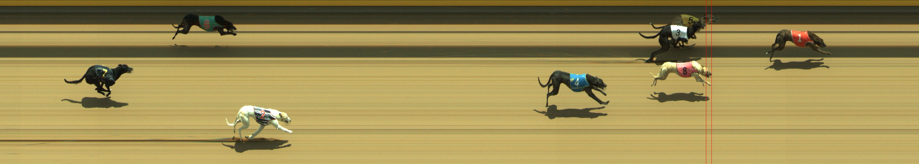 Photo finish for Geelong Race 7