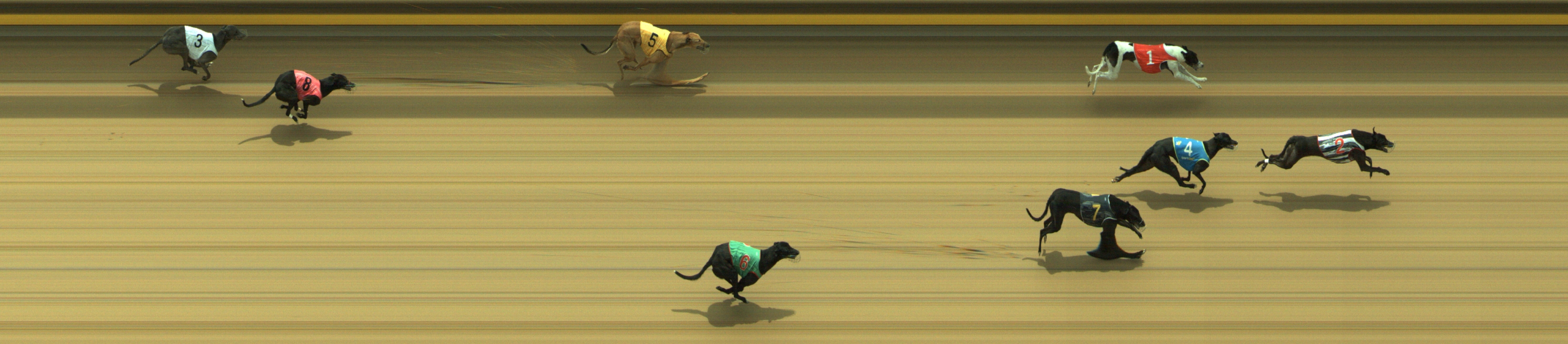 Photo finish for Geelong Race 8