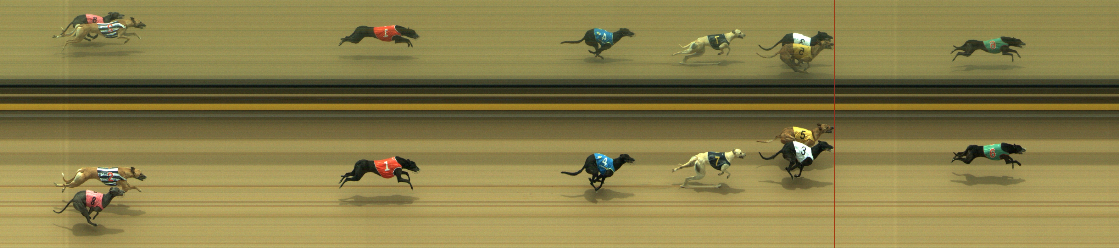 Photo finish for Geelong Race 9