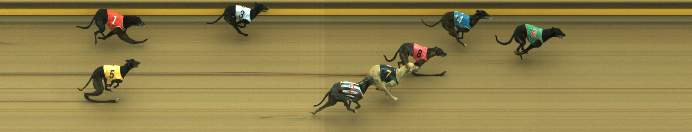 Photo finish for Geelong Race 10