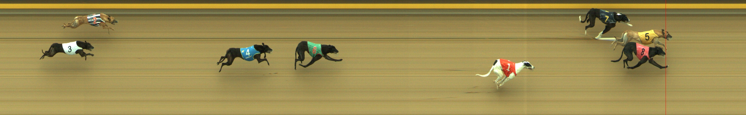 Photo finish for Geelong Race 11