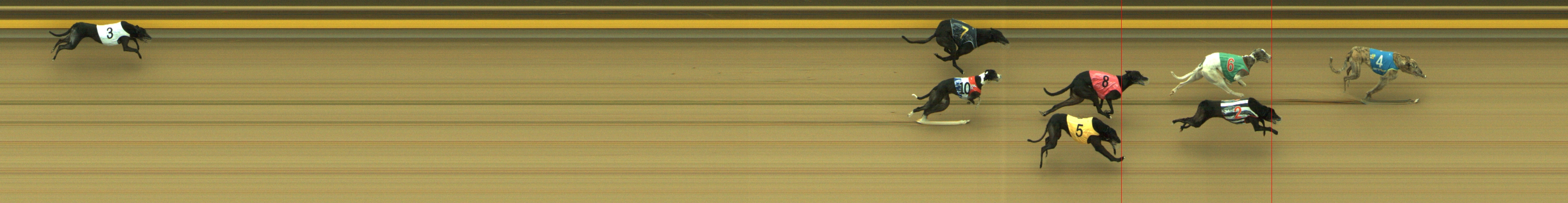 Photo finish for Geelong Race 12