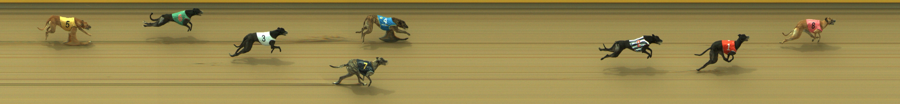 Photo finish for Geelong Race 13