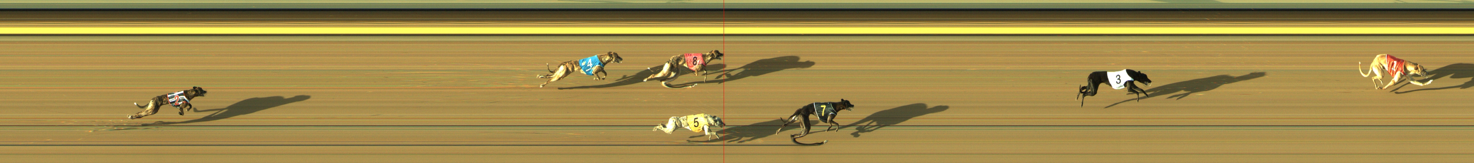 Race result finish photo