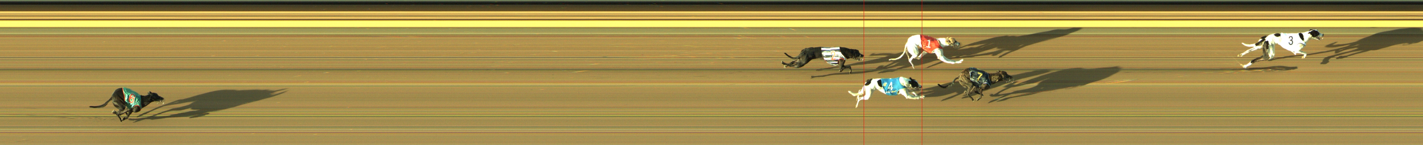 Photo finish for Geelong Race 2