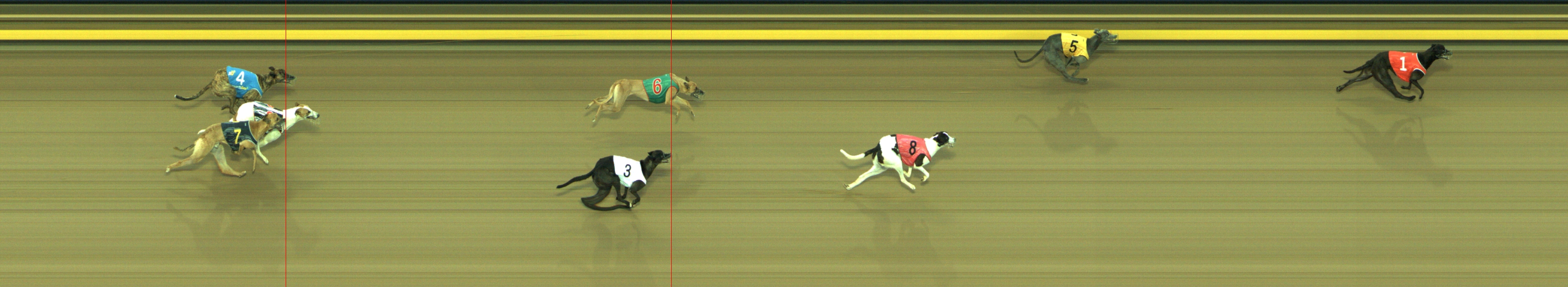 Photo finish for Geelong Race 3