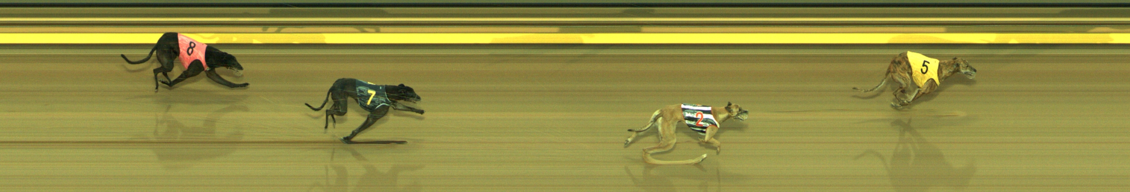 Photo finish for Geelong Race 4