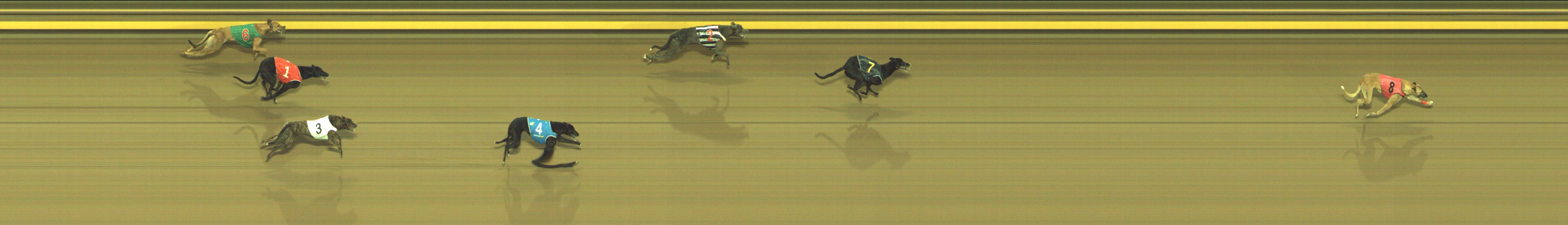Photo finish for Geelong Race 5
