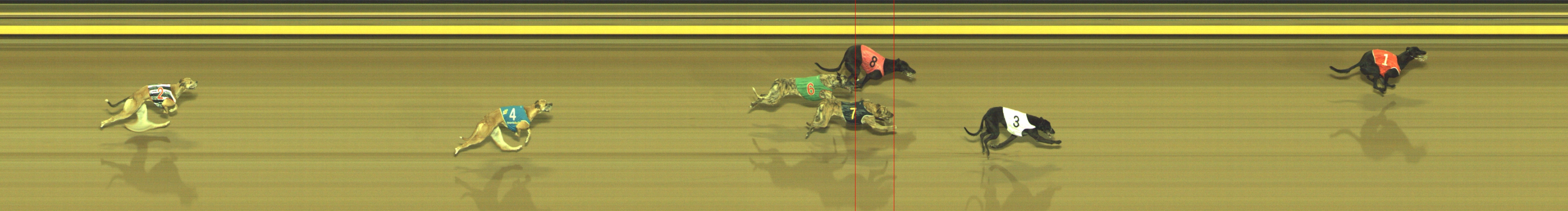 Photo finish for Geelong Race 7