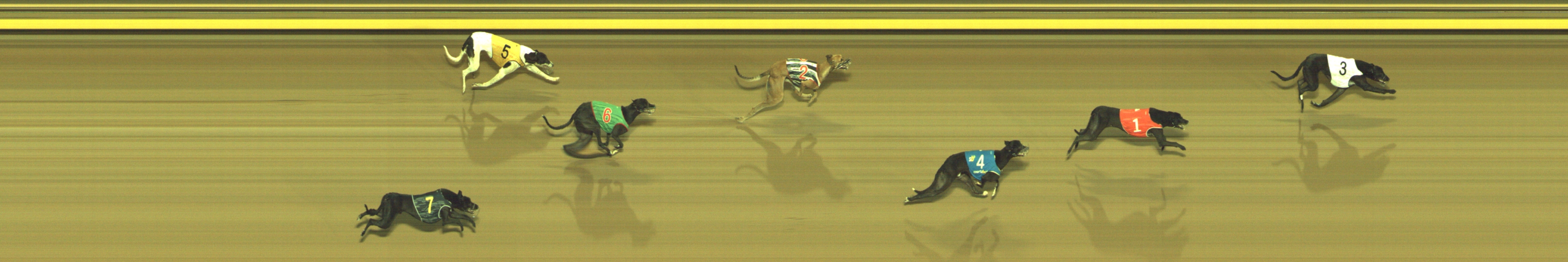 Photo finish for Geelong Race 8