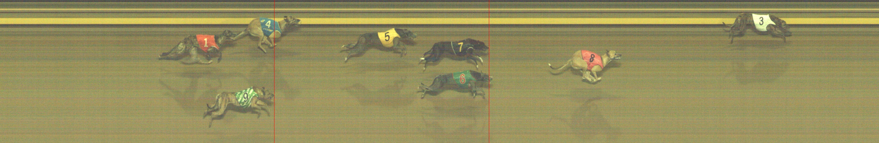 Photo finish for Geelong Race 10