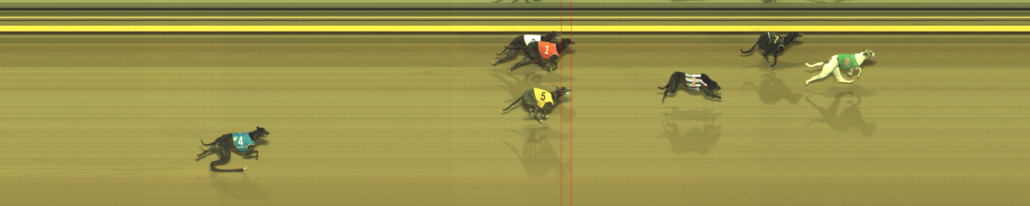 Photo finish for Geelong Race 12