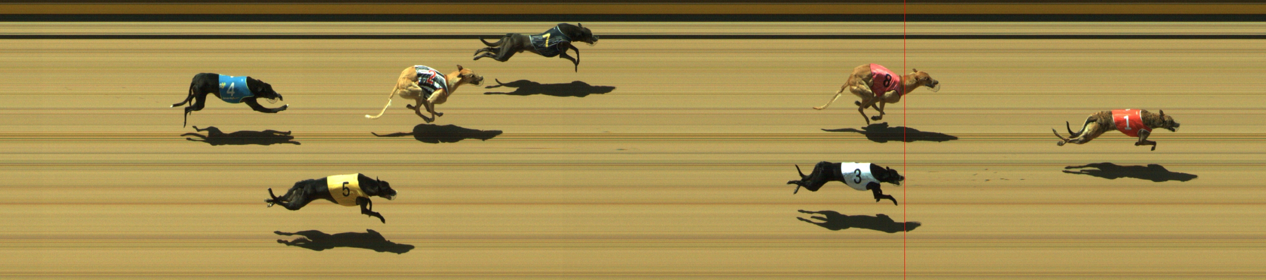 Race result finish photo