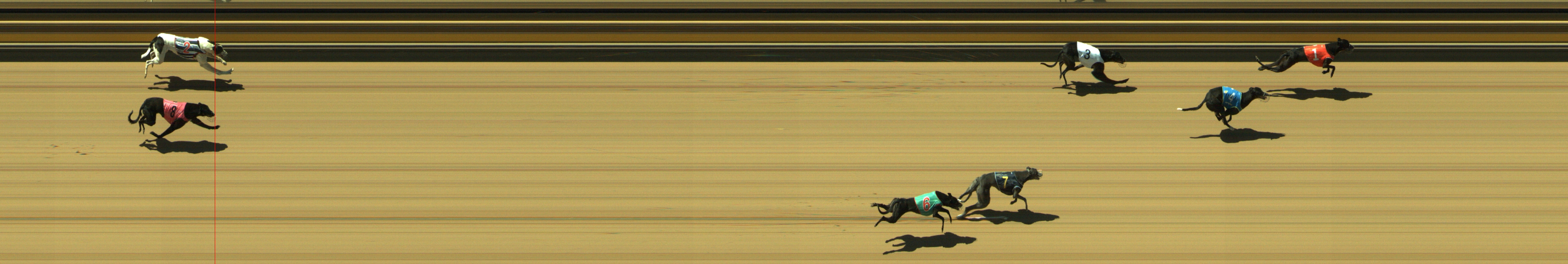 Photo finish for Geelong Race 2